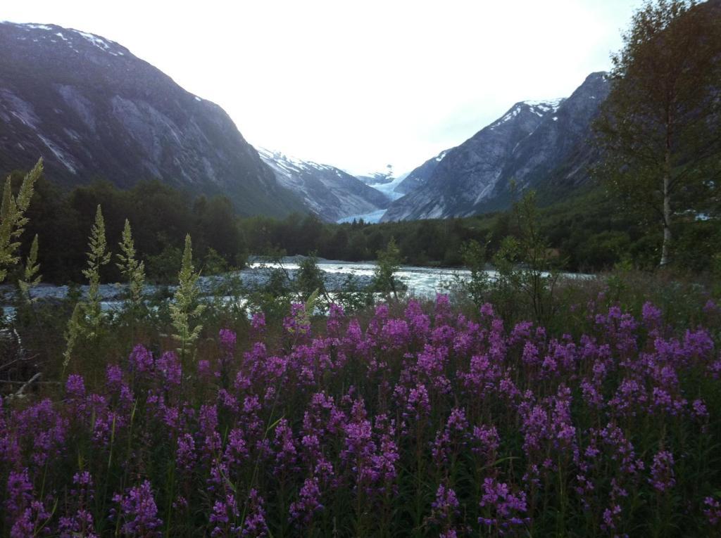 Nigardsbreen Lodge Luster Exterior photo